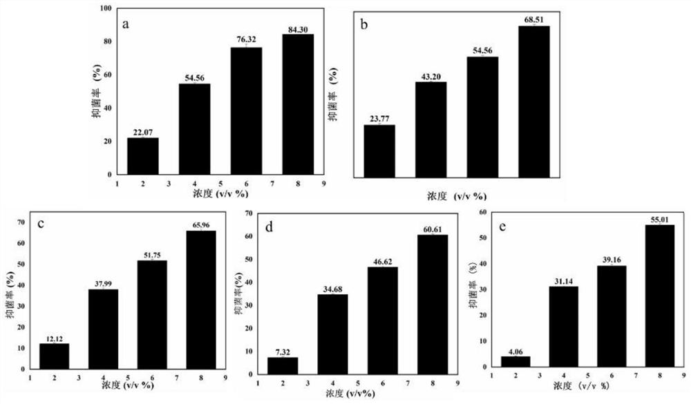 Method for preparing bactericide for inhibiting botrytis cinerea and application