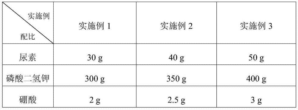 Cultivating method for intermediate propagation of tetrastigma planicaule