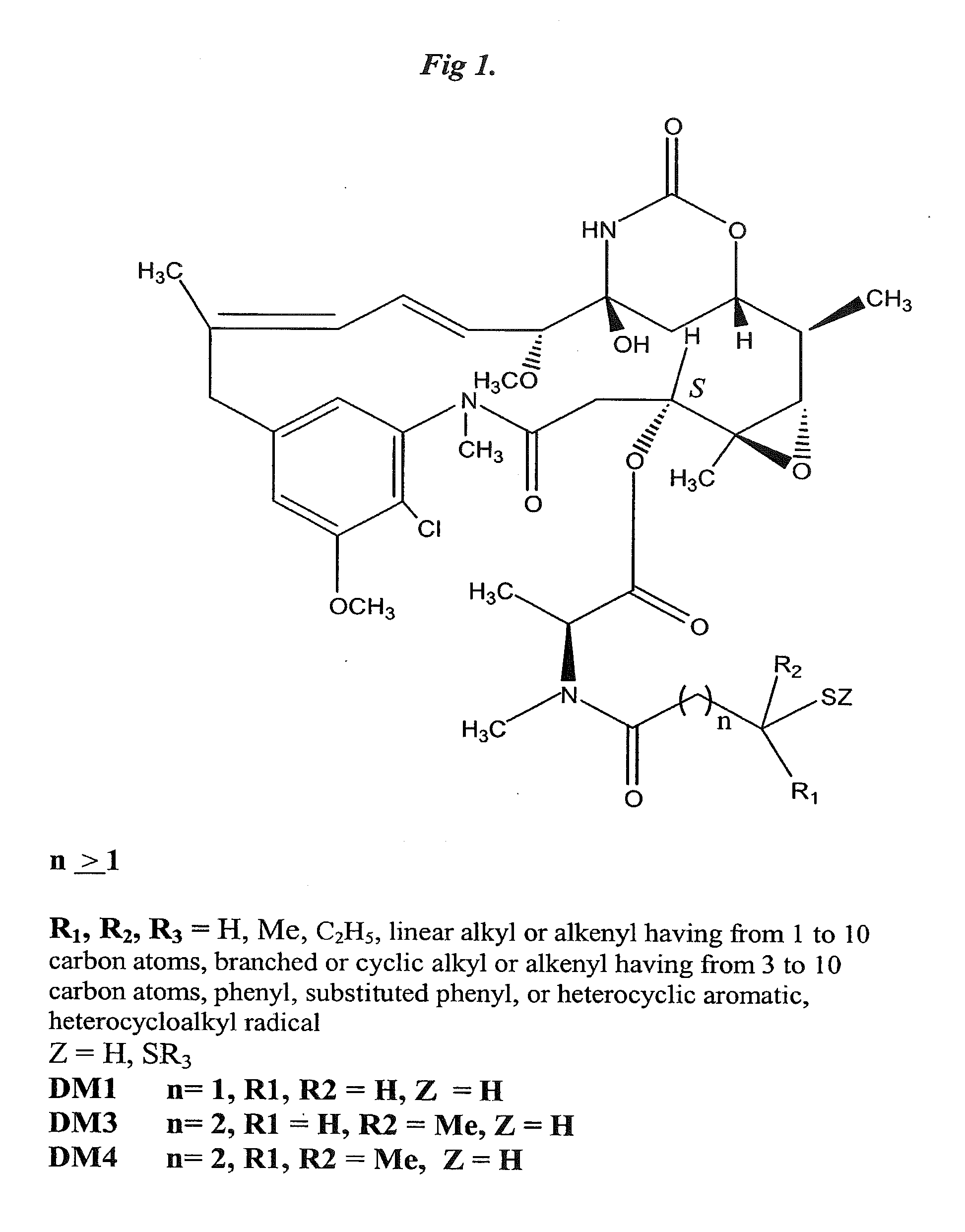 Anti-Integrin Immunoconjugates, Methods and Uses