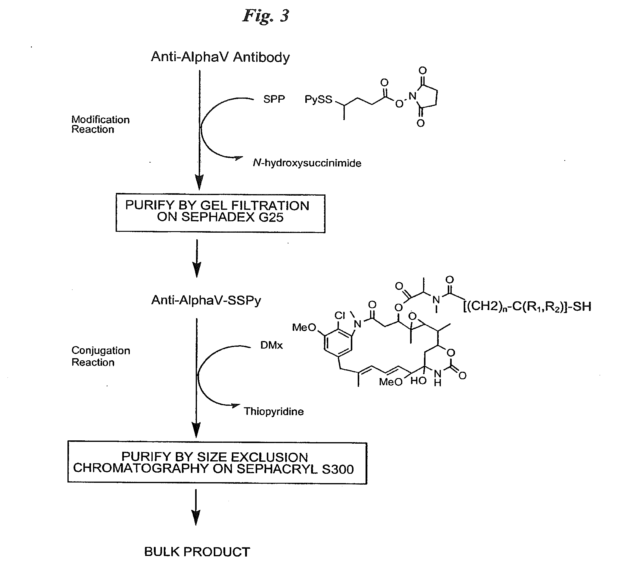 Anti-Integrin Immunoconjugates, Methods and Uses