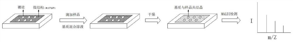 Preparation method and application of chip with hydrophilic-super-hydrophobic composite interface