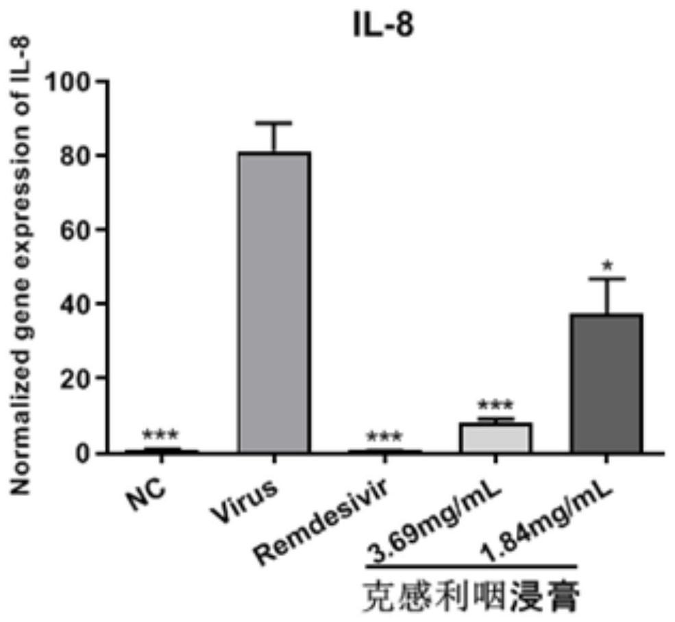 Application of traditional Chinese medicine composition in preparation of anti-novel coronavirus drug
