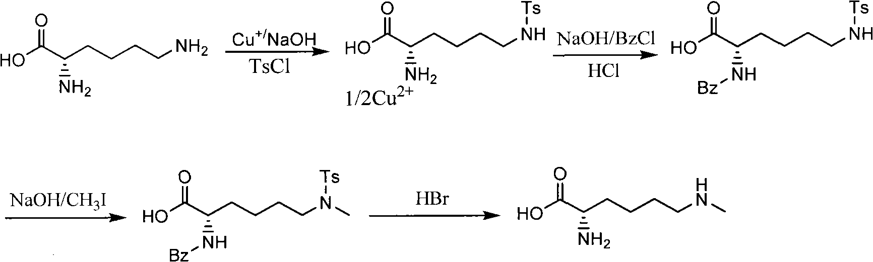 Preparation method of N omega-methyl-lysine