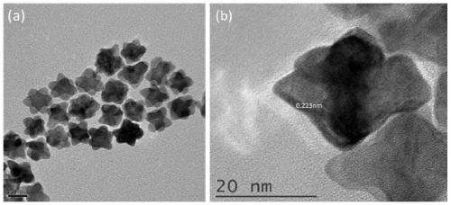 A petal-shaped Cu-doped Ptru alloy catalyst and preparation method thereof