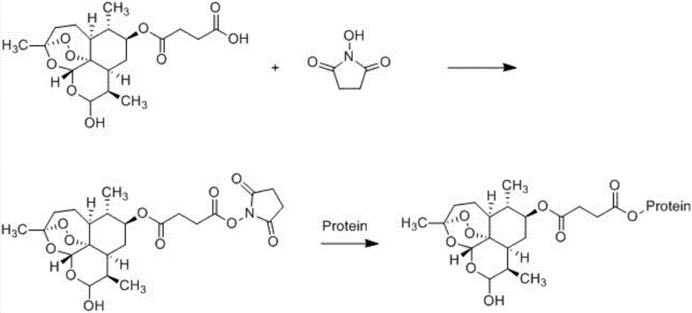 Method for detecting dihydroartemisinin, and used hapten, antigen, antiserum and antibody