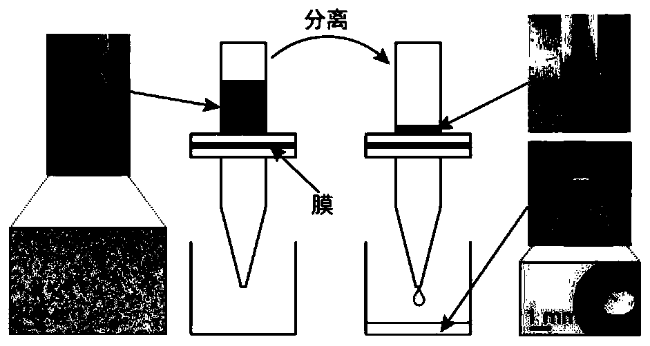 Nanofiber membrane, preparation method thereof and application of nanofiber membrane to oil-water separation