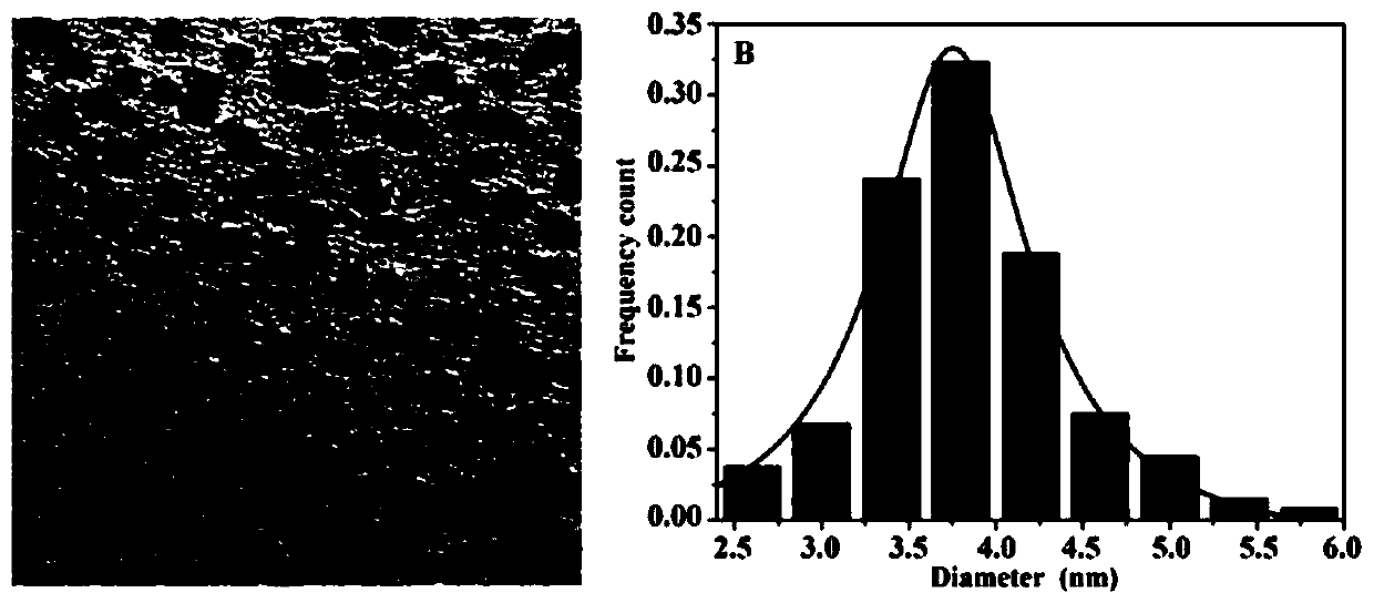 Preparation method and application of nitrogen-sulfur doped carbon quantum dots