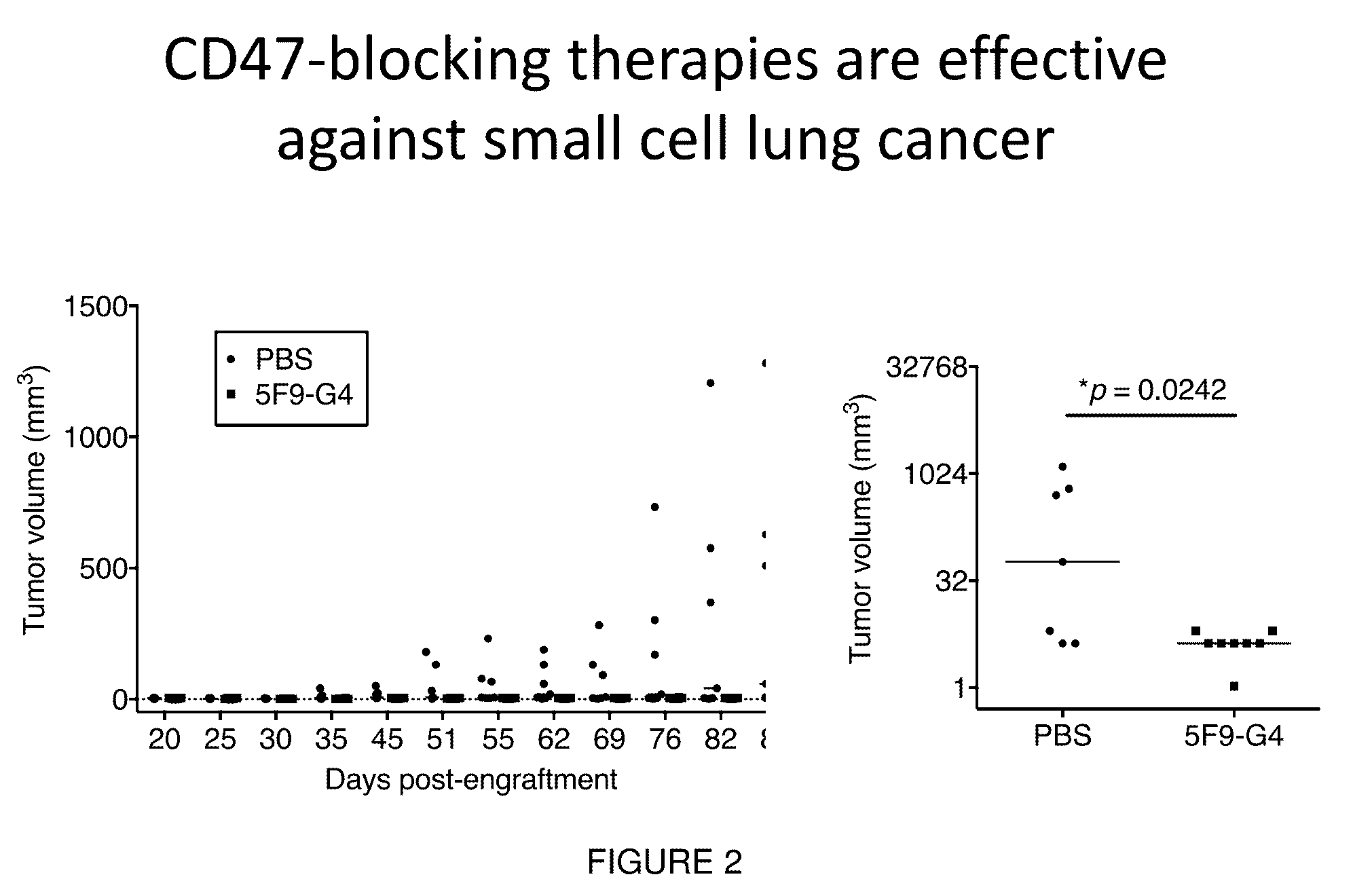Targeted Therapy for Small Cell Lung Cancer