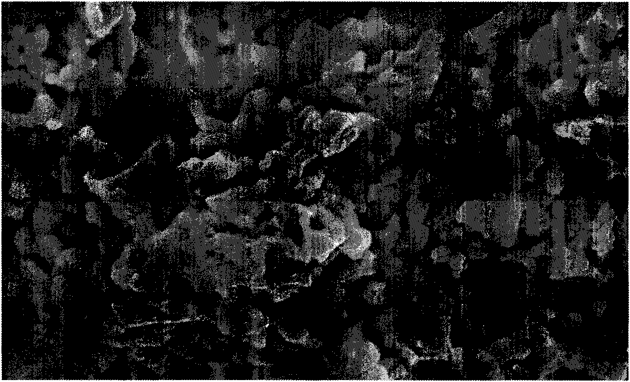 Method for preparing magnesium silicate porous ceramic