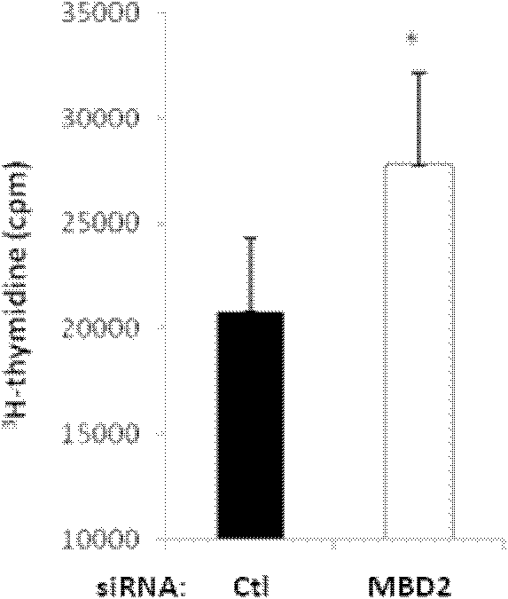 Inhibitor for inhibiting expression of MBD2 and application thereof