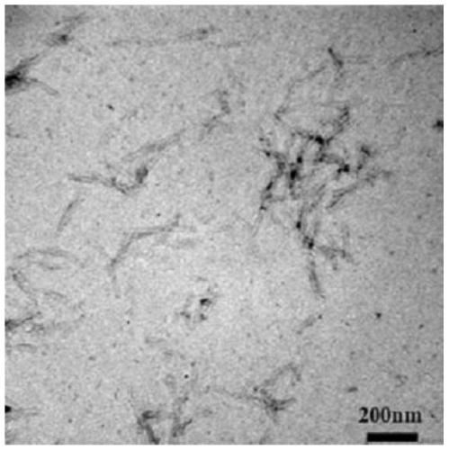 Preparation method for modifying nanofiltration membrane by utilizing carboxylated nanocellulose crystals