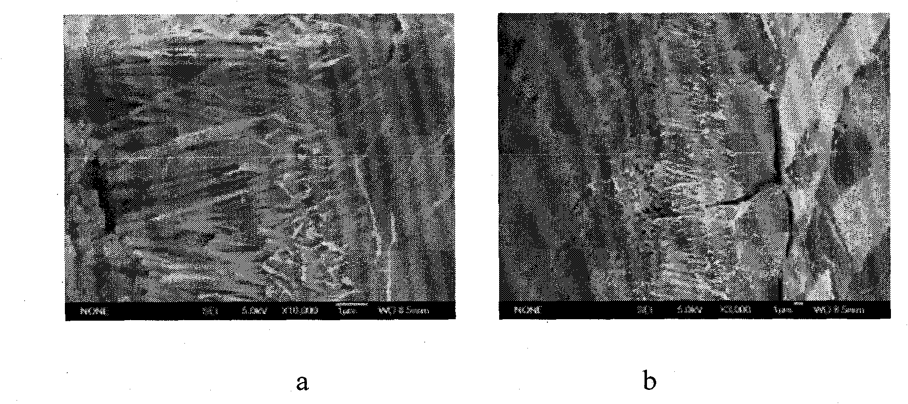 Method for template-free hydrothermal synthesis of one-dimensional nano-Bi2Fe4O9