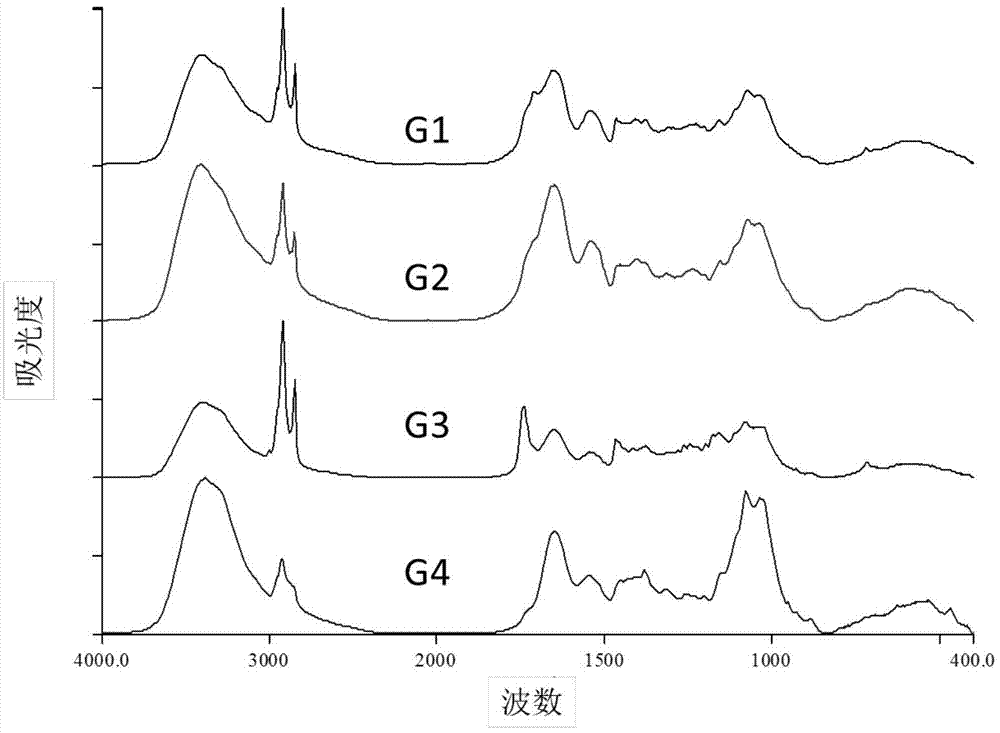 Infrared spectroscopic analysis and identification method for polypide of Cordyceps sinensis