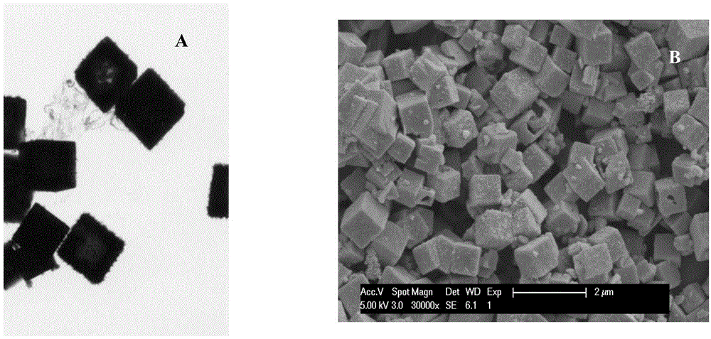 Method of synthesizing hydroxyl stannate microcrystals by hydrothermal process