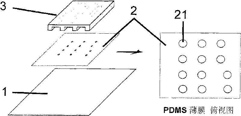 Device and method for arranging a plurality of cells at same plane and controlling cells