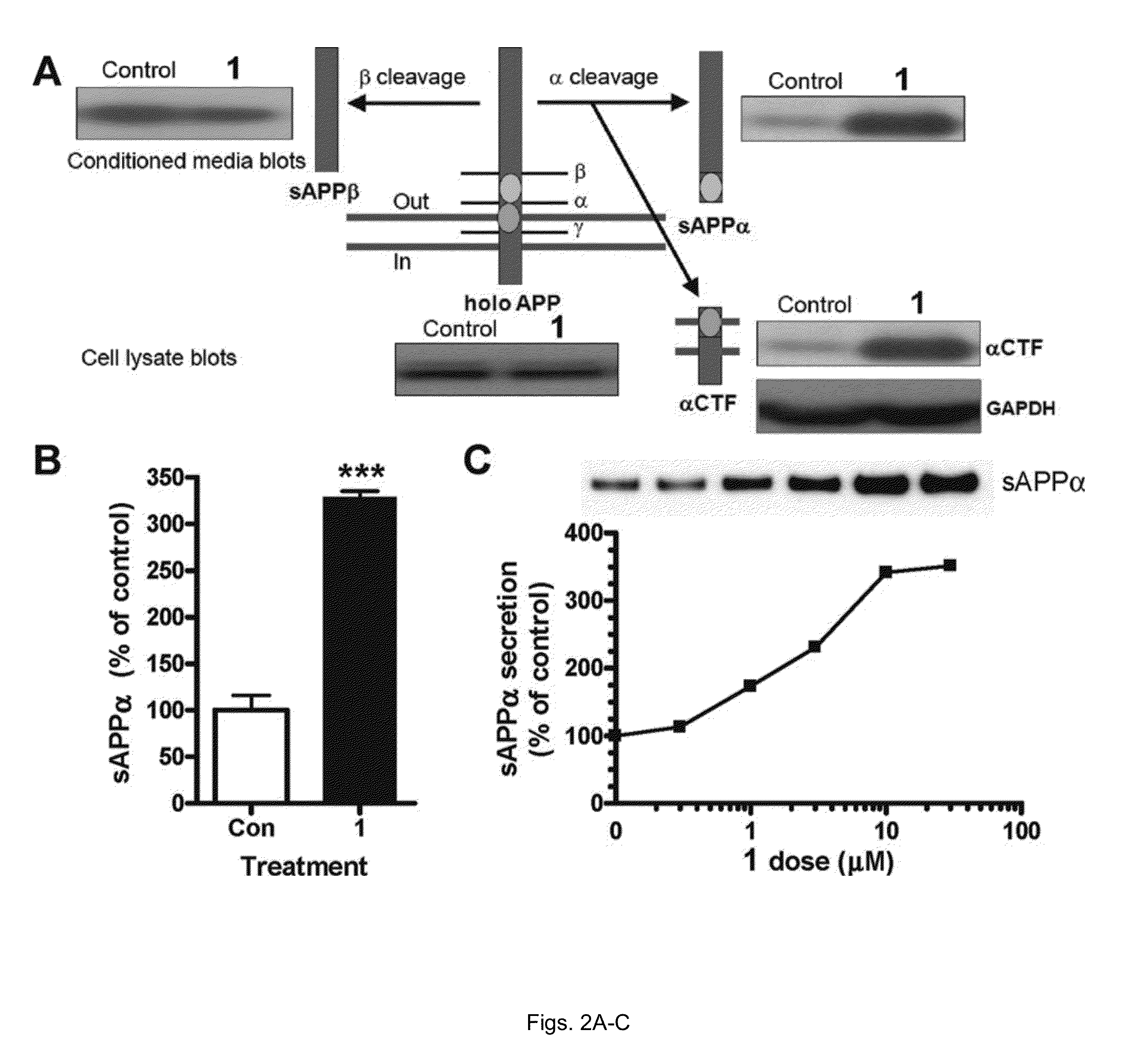 Compositions and methods for inhibiting beta amyloid secretion