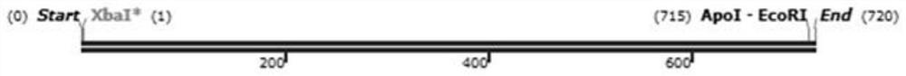 CpG-ODN with specific immunostimulation effect on PRRSV (porcine reproductive and respiratory syndrome virus) and application of CpG-ODN