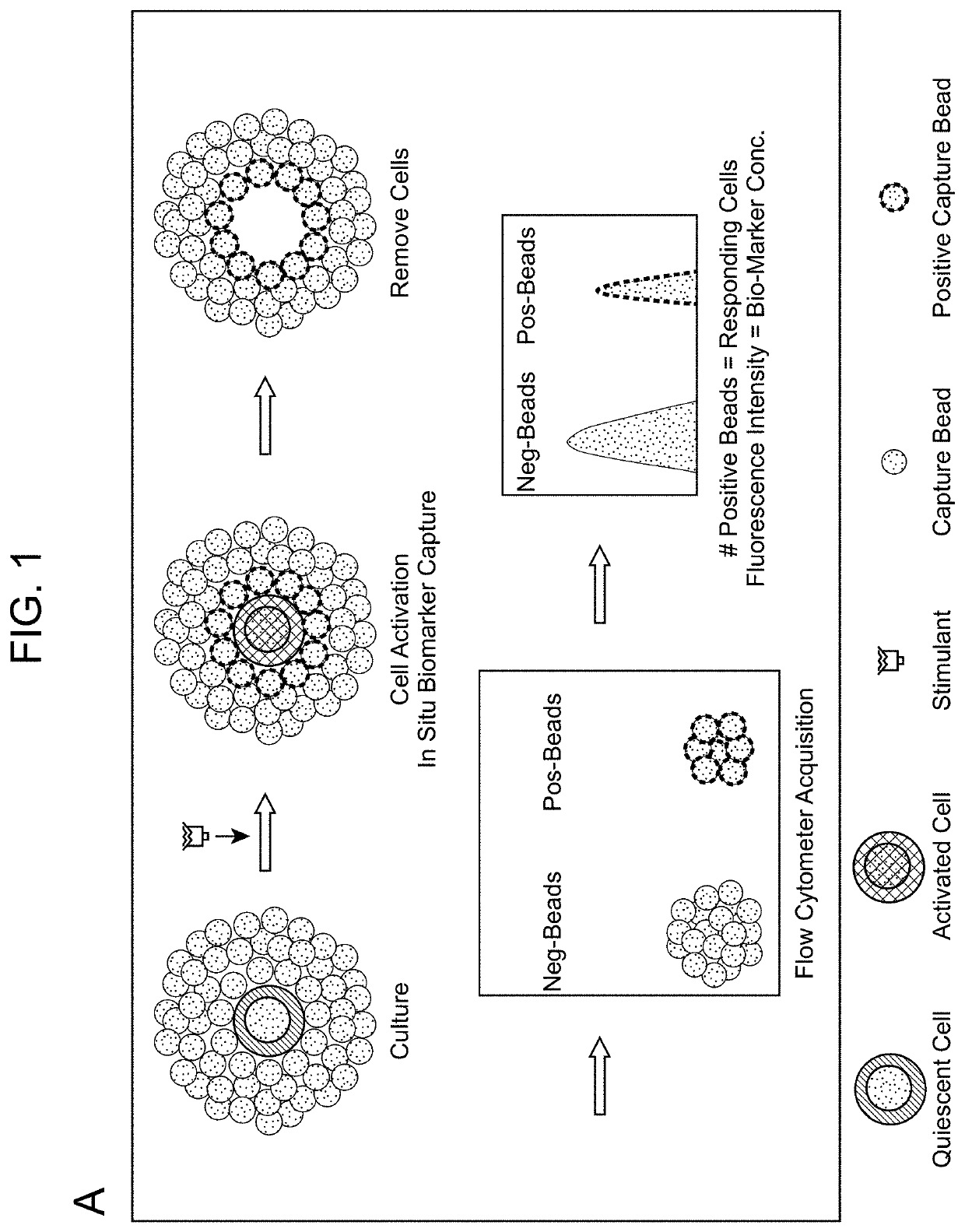 Biomarker Detection Methods and Systems and Kits for Practicing Same