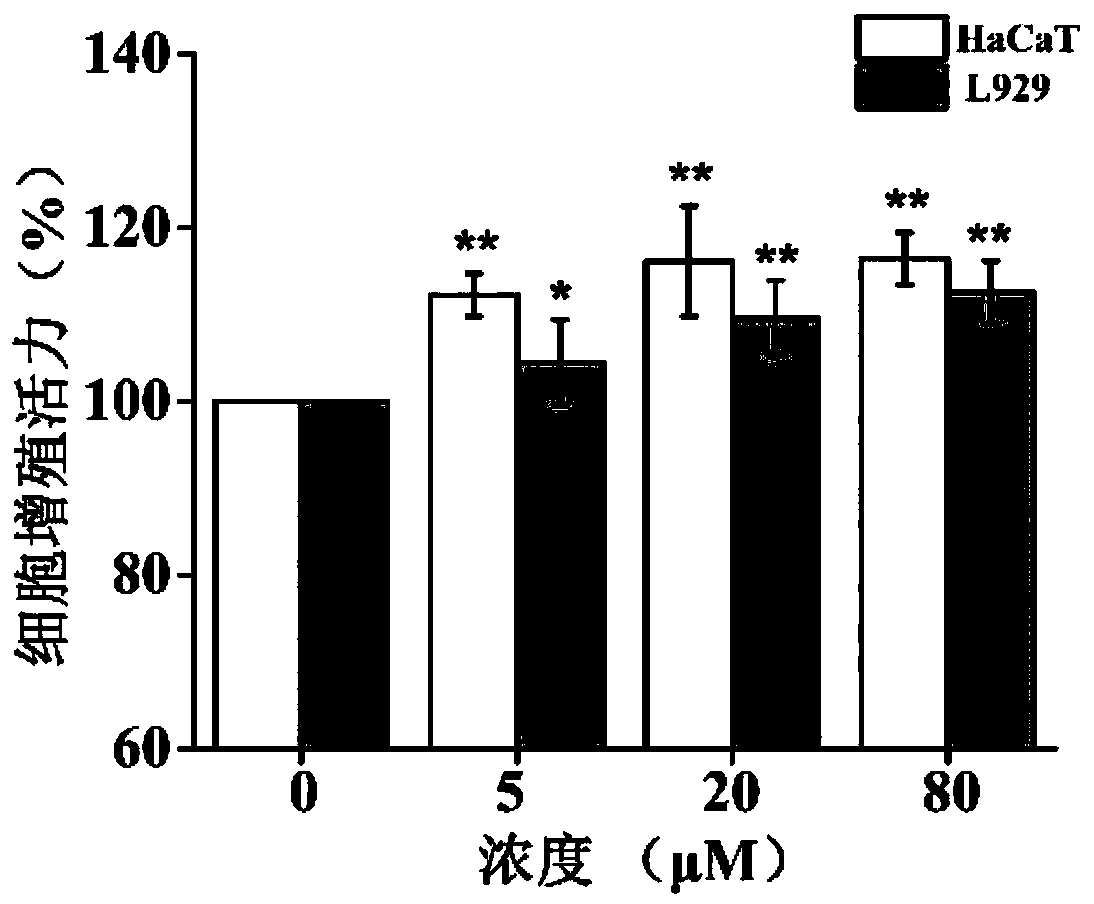 Small peptide for promoting wound healing and application thereof