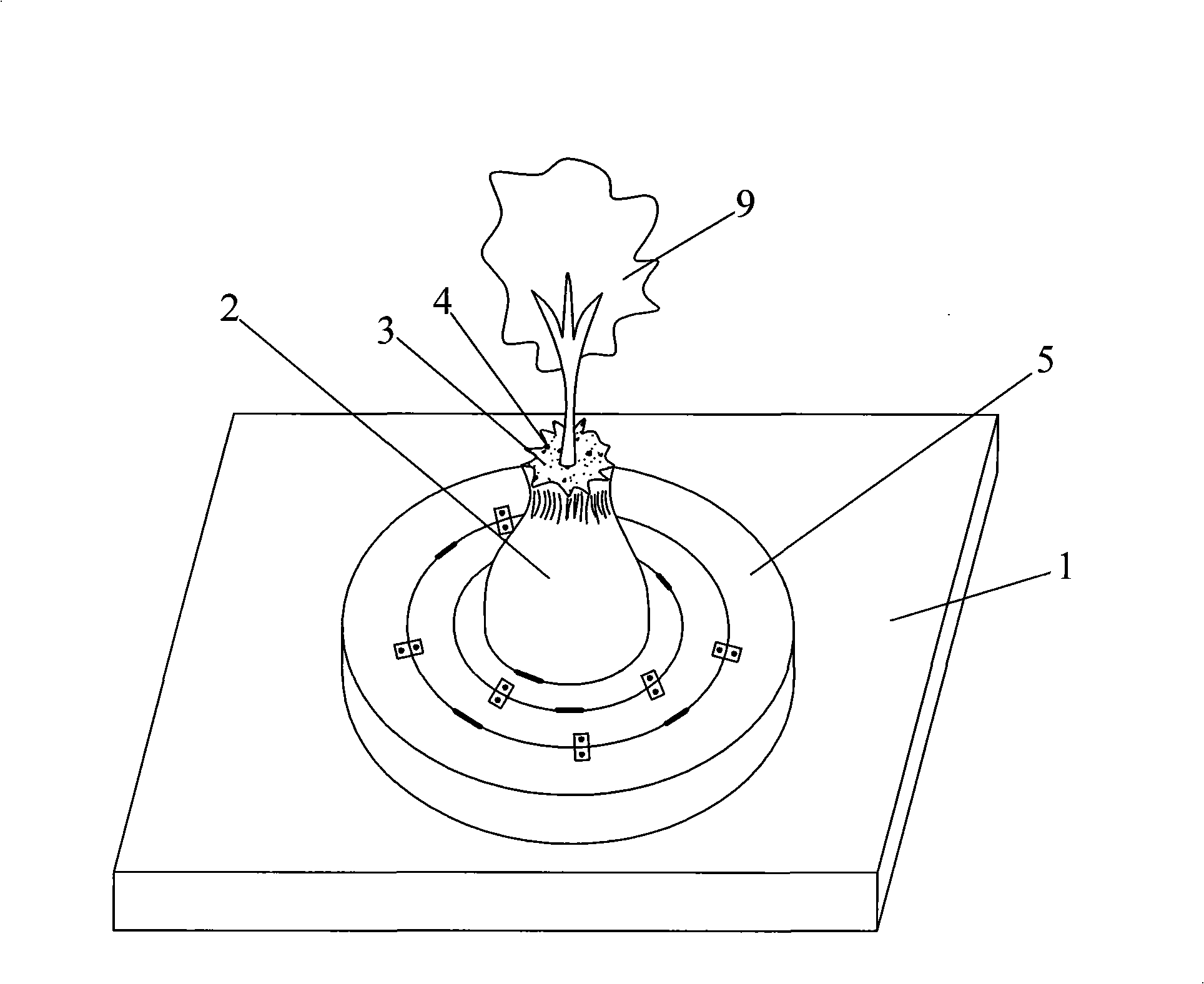 Roof planting greening structure