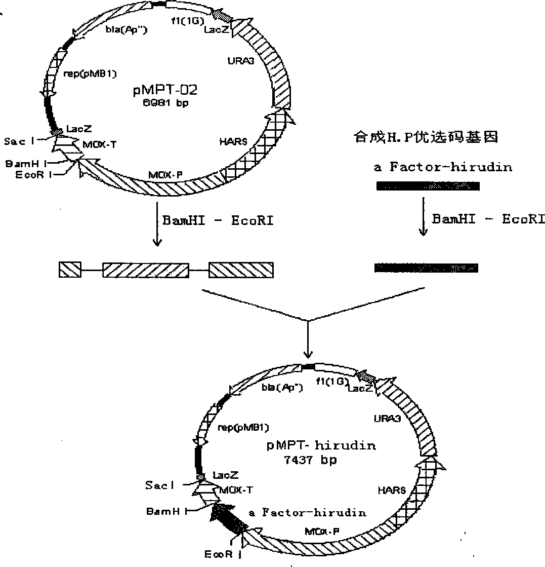 Vacuum hemostix