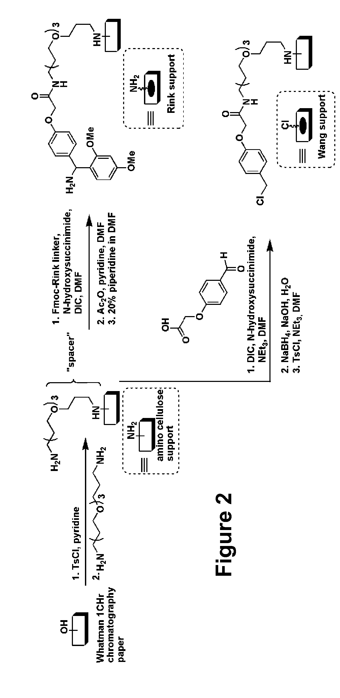 Antibacterial small molecules and methods for their synthesis