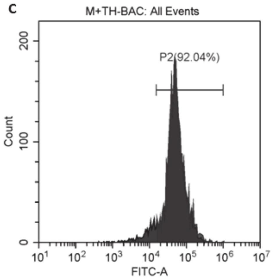 A method for detecting phagocyte function based on flow cytometry