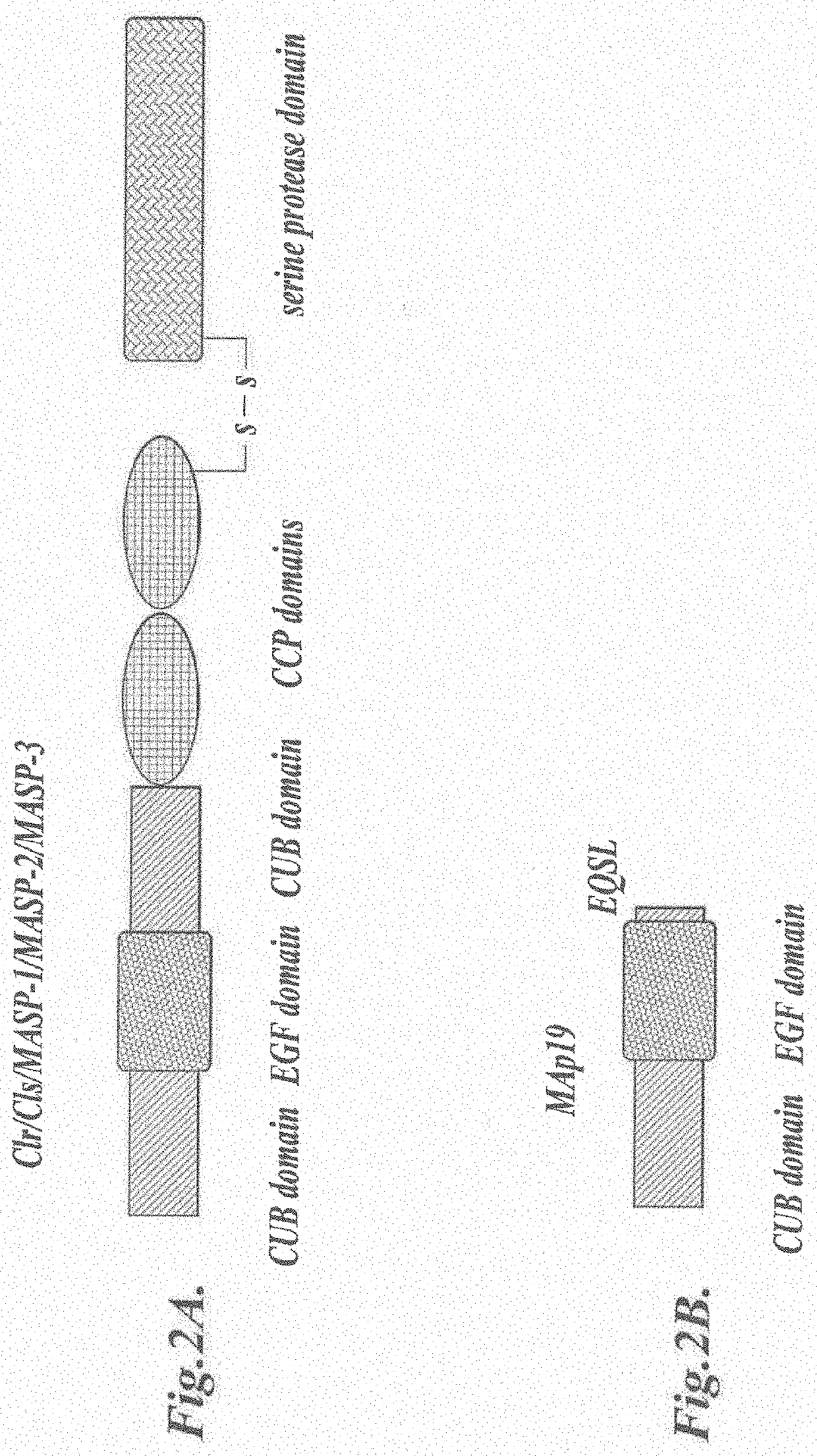 Methods for treating and/or preventing  idiopathic pneumonia syndrome (IPS) and/or capillary leak syndrome (CLS) and/or engraftment syndrome (ES) and/or fluid overload (FO) associated with hematopoietic stem cell transplant