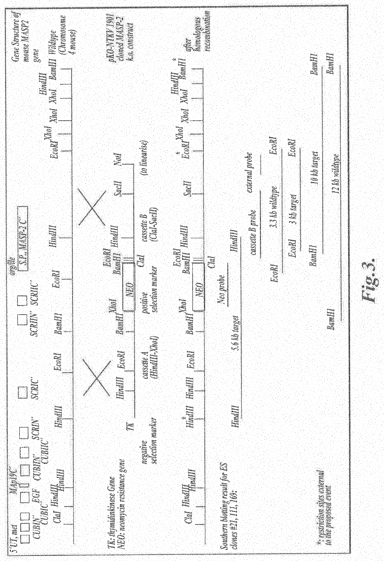 Methods for treating and/or preventing  idiopathic pneumonia syndrome (IPS) and/or capillary leak syndrome (CLS) and/or engraftment syndrome (ES) and/or fluid overload (FO) associated with hematopoietic stem cell transplant
