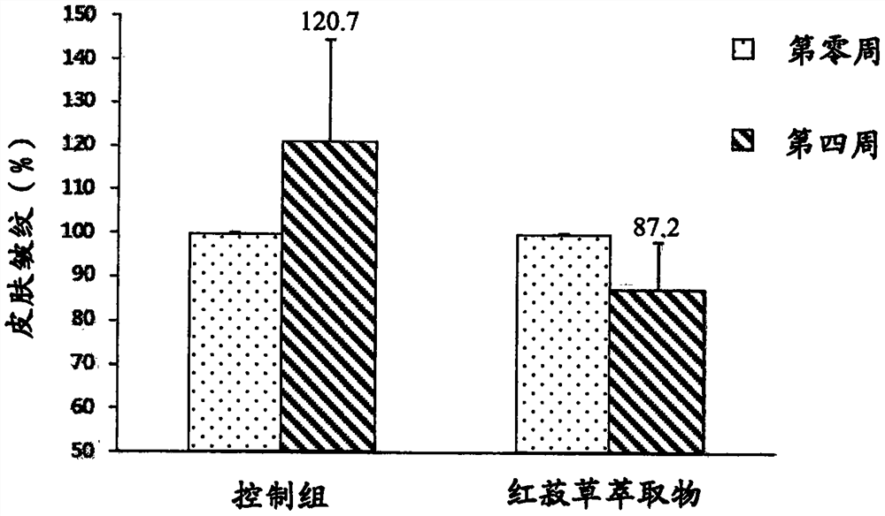 Use of red semblance extract for improving the gene expression of hyaluronic acid synthase