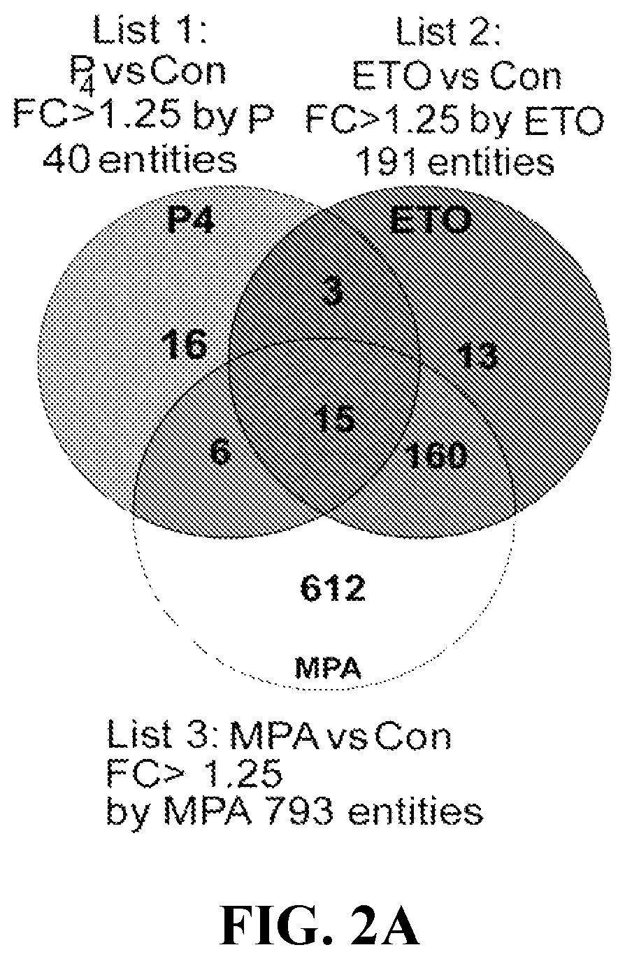 Use of CCL2 to inhibit abnormal uterine bleeding