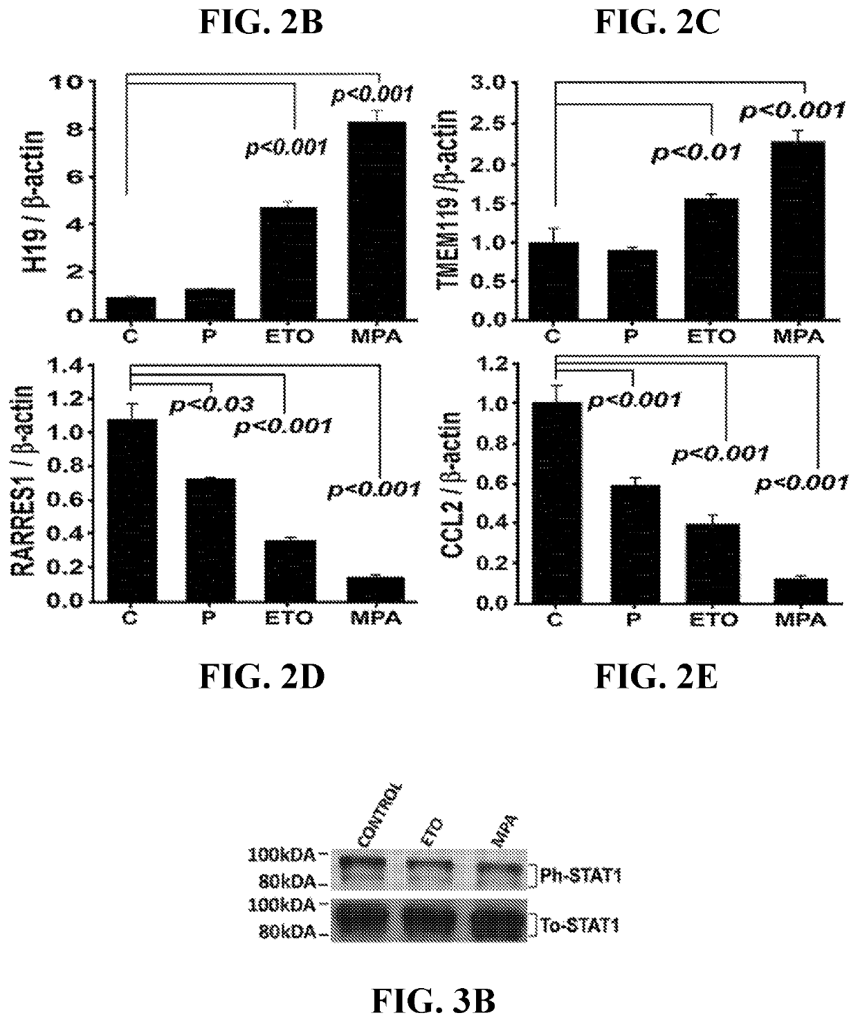 Use of CCL2 to inhibit abnormal uterine bleeding