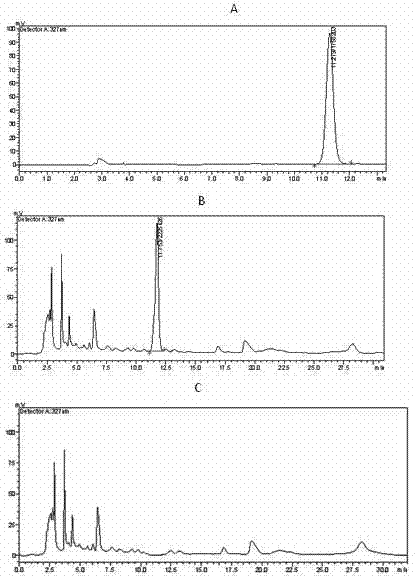 Pharyngitis chewable tablets and molding process thereof