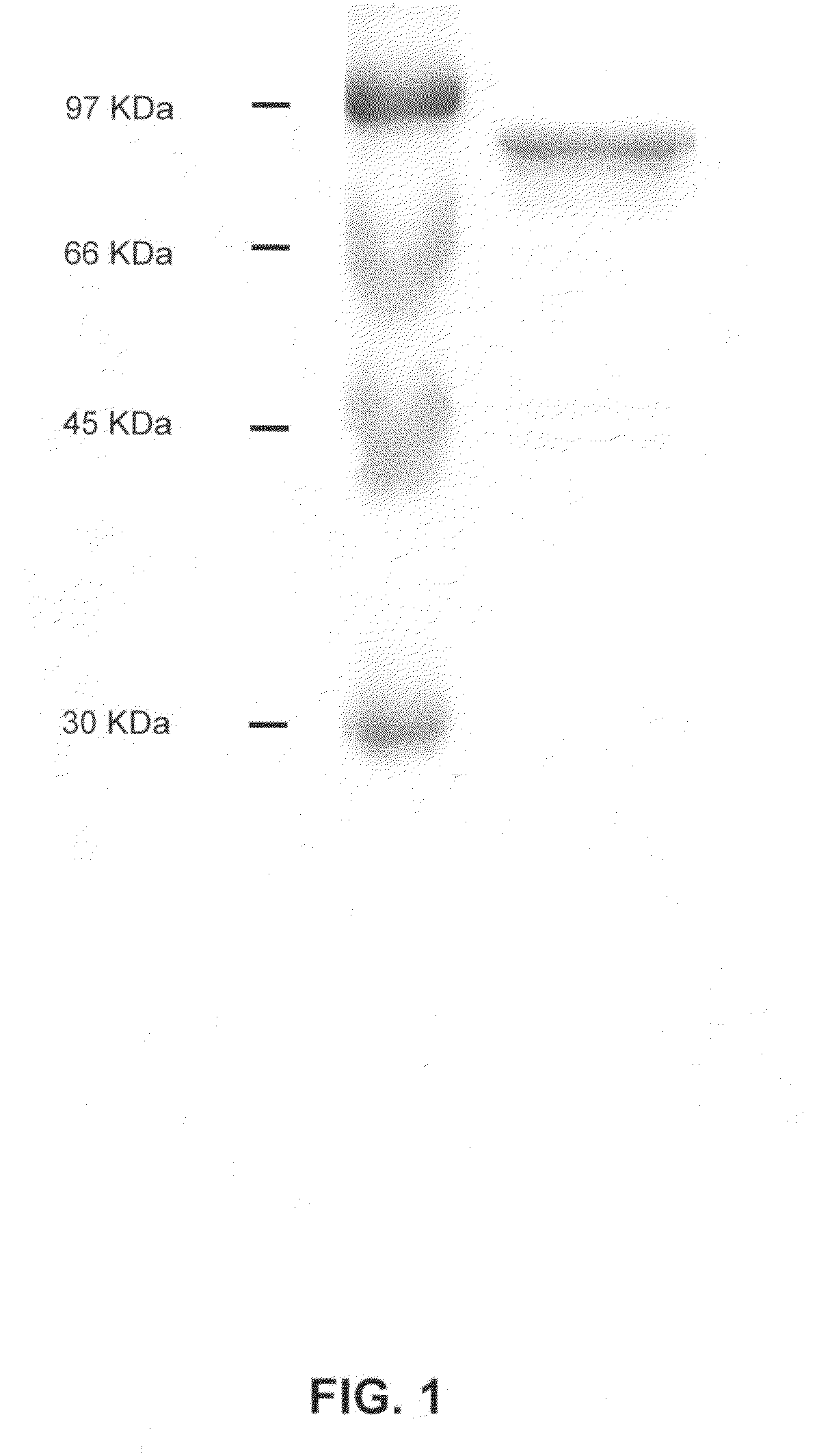 Pharmaceutical composition for alleviation and treatment of ischemic conditions and method for delivering the same