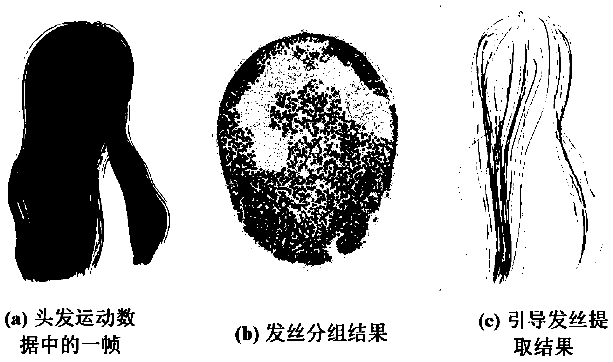 Guided hair extraction method based on motion similarity