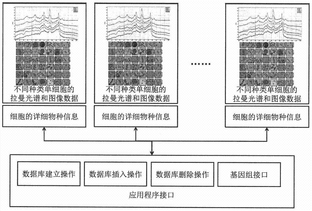 Single-cell phenotype database system and search engine