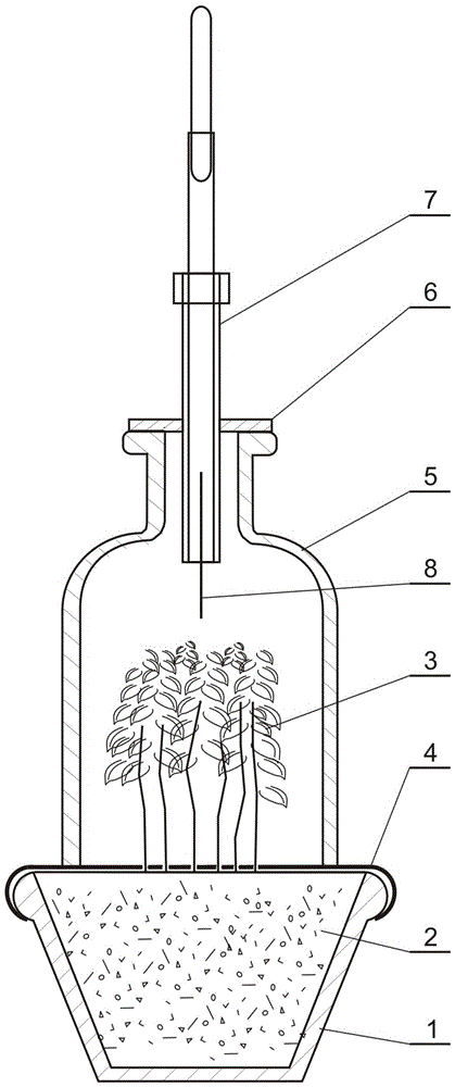 Method and device for collecting infectious pest feeding induced seedling-stage soybean plant volatile matters