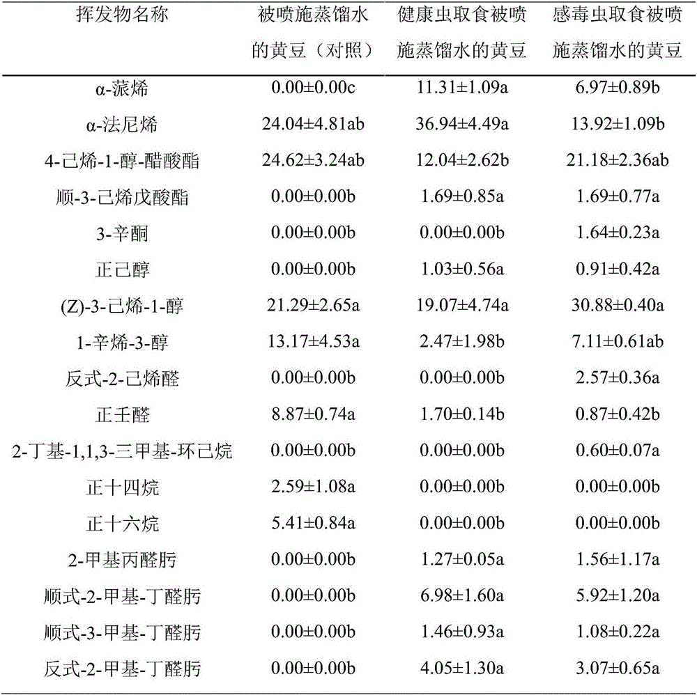 Method and device for collecting infectious pest feeding induced seedling-stage soybean plant volatile matters