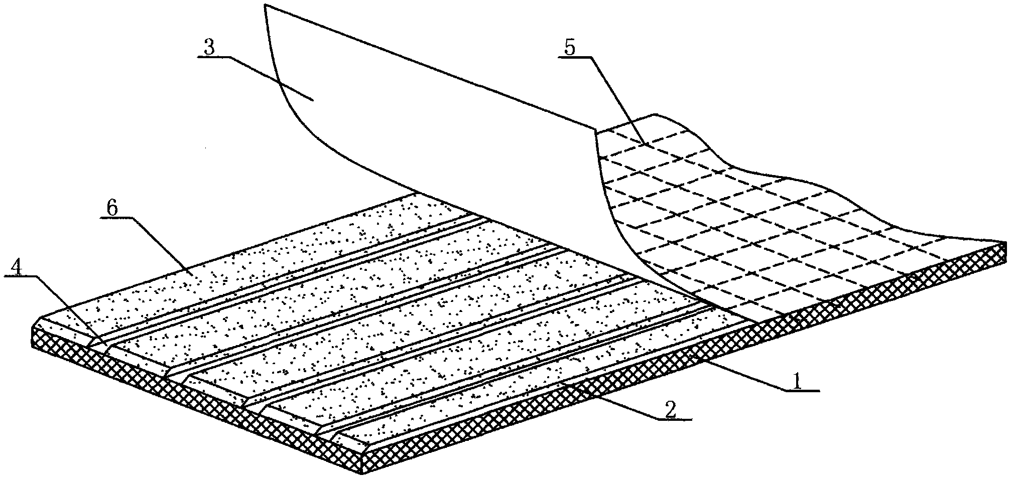 Adhesive plaster for skin and use method