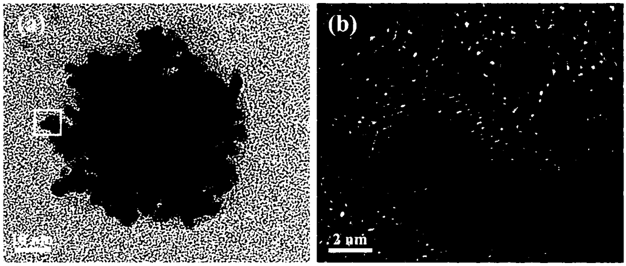 Mesoporous nano platinum-nickel oxygen reduction electrocatalyst and preparation method thereof