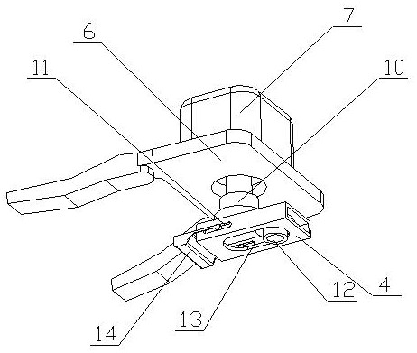 A sorting machine for melon and fruit visual appearance inspection