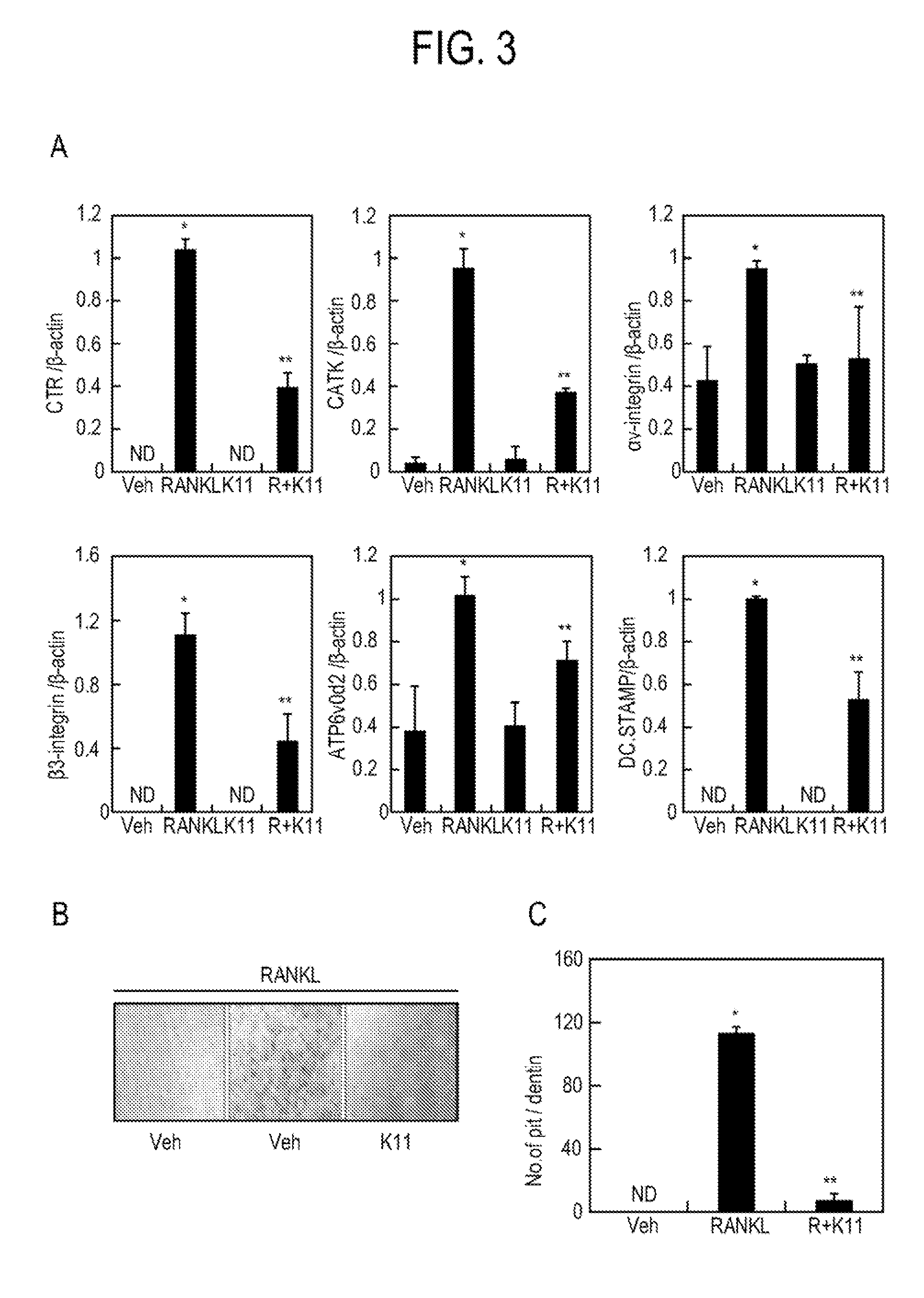 New compounds for alleviation, prevention or treatment of osteoporosis, the preparation thereof and pharmaceutical composition comprising the same