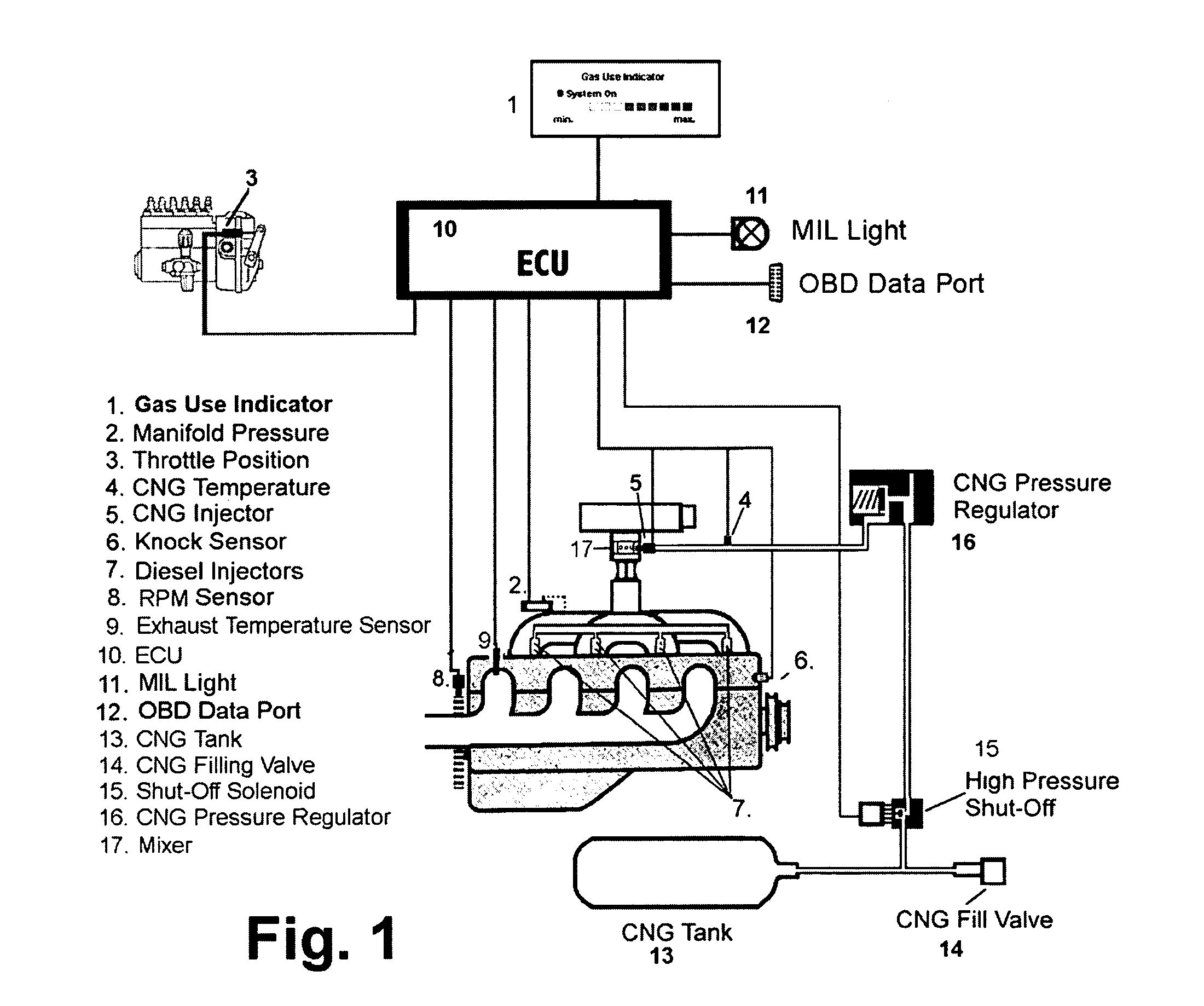 Multi-fuel engine conversion system and method