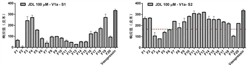 Label-free arginine vasopressin receptor cell model construction and ligand screening method