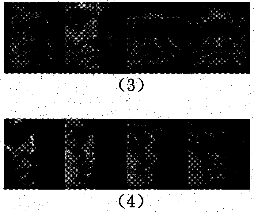 Human face recognition system and method based on second-order two-dimension principal component analysis