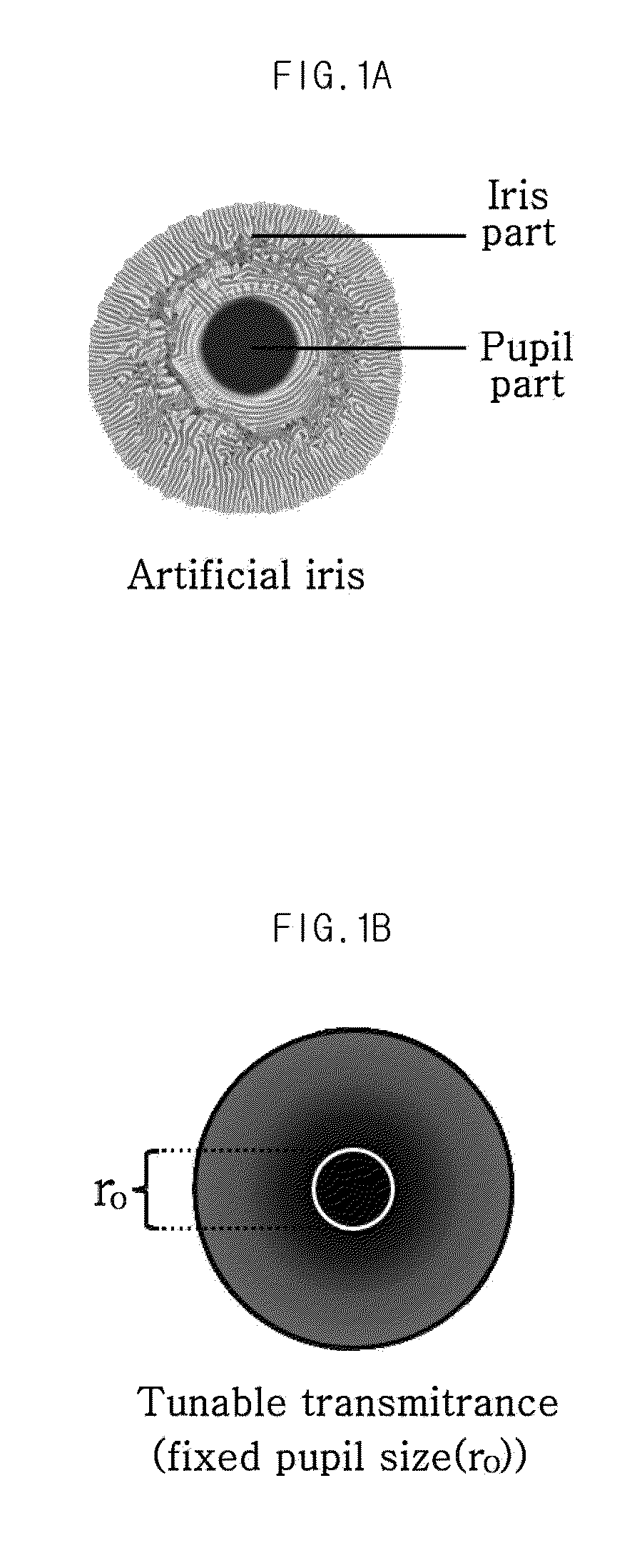 Self-regulated artificial iris and method of fabricating the same