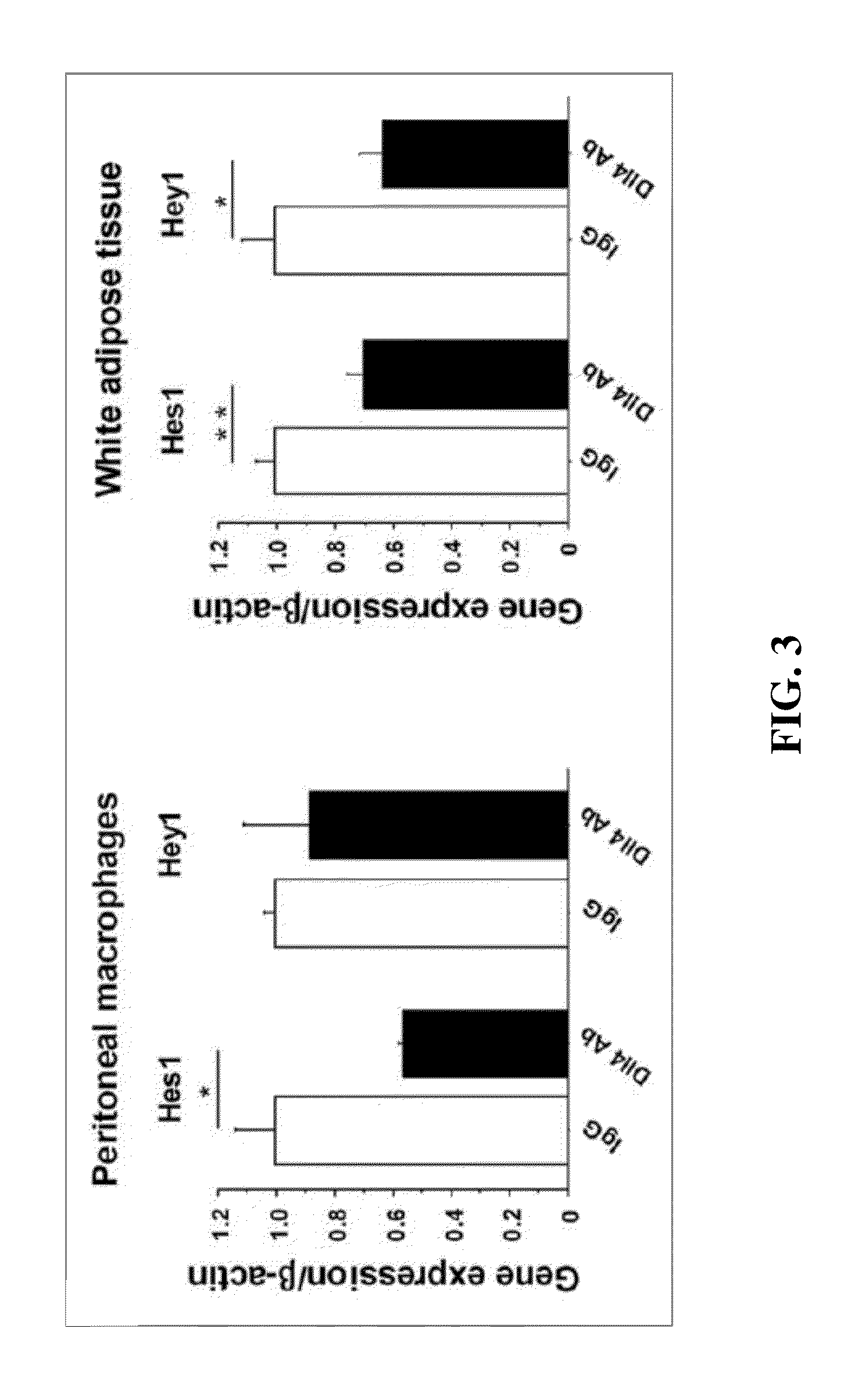 Notch inhibition in the treatment and prevention of a metabolic disease or disorder and cardiovascular complications thereof