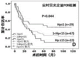 Quantitative gastric carcinoma patient survival prediction and individual follow-up schedule evaluation method based on helicobacter pylori DNA molecules