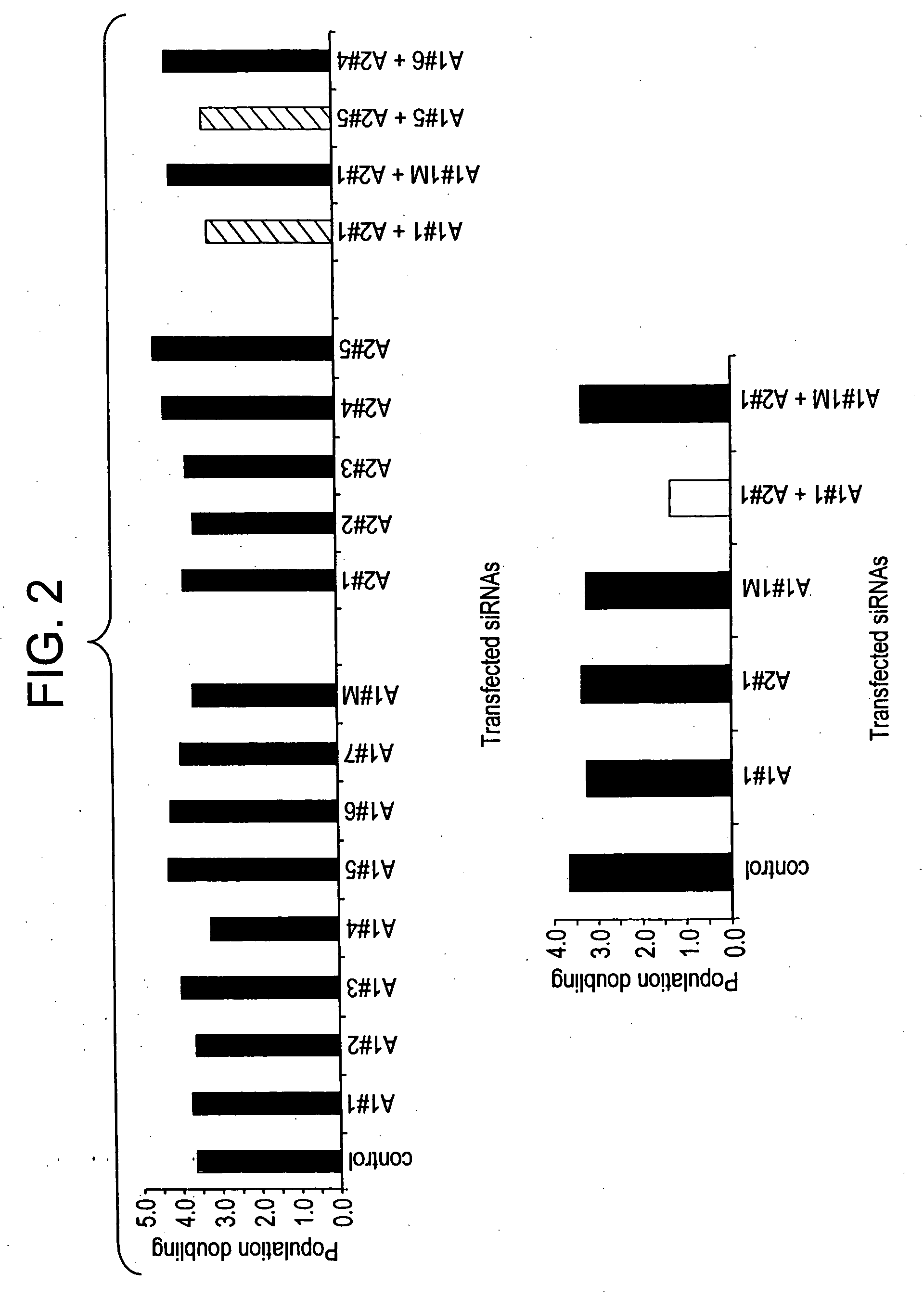 Methods and compositions relating to hnRNP A1, A1B, A2, and B1 nucleic acid molecules