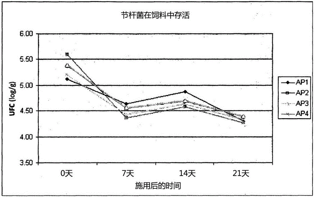 Novel arthrobacter gandavensis strains